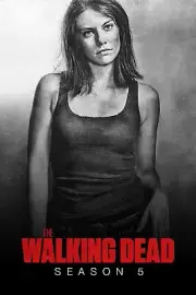 The Walking Dead TWD TV Season 5 Rick Grimes Carl Michonne Daryl Maggie FAST