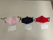 Cloth Masks Adjustable With Pm 2.5 Insert Blue