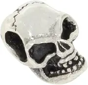 [AFP] AS-868 Skull Pendant 925 Sterling Silver, klein, Sterling Silver, No Gemstone