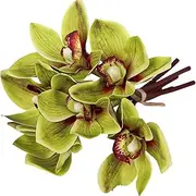 Cymbidium Orchid 10 Inch 6Pcs Lifelike Green Color Fake Orchid with Long Stem DIY Friendly Decorative Silk Flowers for Arrangement, Wedding, Party Cymbidium, Fake-