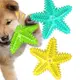 柴犬大學 寵物耐咬潔牙玩具 耐咬玩具 發聲玩具 狗玩具 寵物玩具 互動玩具 狗磨牙玩具 狗牙刷 啃咬玩具 柴柴 寵物用品