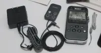 在飛比找Yahoo!奇摩拍賣優惠-SONY PCM-M10 高階錄音筆 ICD-SX1000 