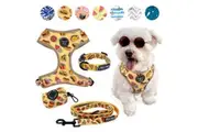 4-PIECE WALKIES BUNDLE [Pipco Pets] - Adjustable Dog Harness + Collar + Lead + Poo Bag Dispenser (Snack Pack)