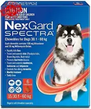 Spectra Chewables for Dogs 30.1-60kg Pack of 6 Flea & Worm Protection