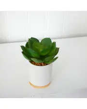 Nearly Natural 6in Succulent Artificial Plant in White Ceramic Planter