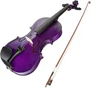 4/4 Violin Spruce Wood Top Panel Basswood Back Side Panel With Gig Bag Brazilwood Bow For Beginner String Instrument Purple