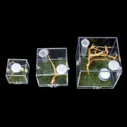 Jumping Spider Habitat Breeding Box Cages For Spider Insect Small NEWS