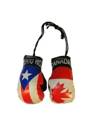 CANADA & PUERTO RICO Country Flags Mini BOXING GLOVES .. New