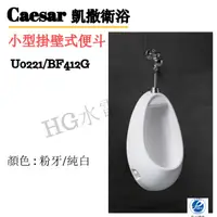 在飛比找蝦皮購物優惠-🔸HG水電🔸 Caesar 凱撒衛浴 掛壁式便斗 U0221