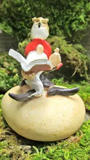 Garden Gnome Reading a Book with an Owl Resin Fantasy Figurine