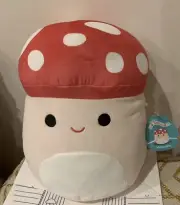Squishmallows Malcom The Mushroom 12" Plush Toy BRANDNEW WITH TAGS