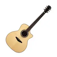 在飛比找Yahoo!奇摩拍賣優惠-Veelah V5 OMC 40吋 民謠吉他 雲杉單板 玫瑰