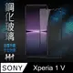 HH 鋼化玻璃保護貼系列 SONY Xperia 1 V (6.5吋)(全滿版)