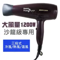 在飛比找Yahoo奇摩購物中心優惠-達新牌 1200W沙龍級專業吹風機 TS-2626