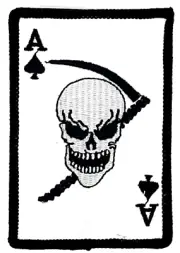 ACE SPADE DEATH SKULL MILITARY IRON ON PATCH EE-161
