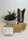 JASMINE HEART-Moisturizing Handmade - Homemade Goat Milk Clay Bar Soap wt. 4oz