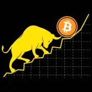 Bitcoin Trader Crypto Asset Trader Bull Trend Art - Mens Funny T-Shirt Tshirts