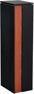 Camden Large Parcel + Mail Black Merbau Pillar