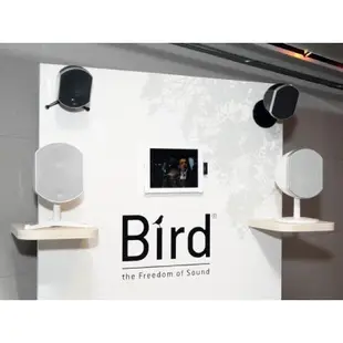 FOCAL BIRD 白色中鳥 （一支）