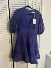 Zimmermans Pleated Mini Dress