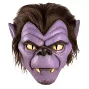Officially Licensed Trick or Treat Collectible Scooby Doo Wolfman Scary Mask