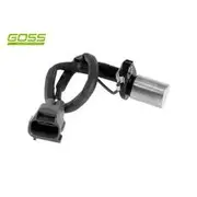 RAE Camshaft Position Sensor - SC183