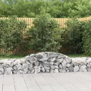 Arched Gabion Baskets 2 pcs 300x50x40/60 cm Galvanised Iron vidaXL