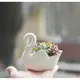 ⓒ優雅純白天鵝造型陶瓷花盆 多肉花盆 多肉植物盆栽【BI04001】