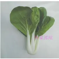 在飛比找蝦皮購物優惠-【萌田種子~】F10 松柏奶油白菜種子2公克 , 葉片大 ,