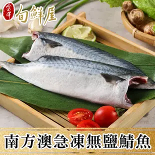 【金澤旬鮮屋】南方澳急凍無鹽鯖魚20片(110g/片)