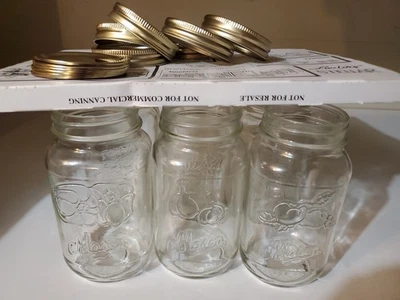 Anchor Glass Decorative Mason Canning Jars Bands and Lids (6) Extra Jar 26 Oz