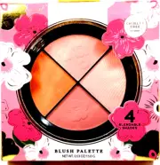 Beauty Concepts-Blush Palette-(4 blendable shades) 0.53 oz NEW!!