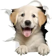 Realistic Animal Wall Sticker, Labrador Sticker Wall, Dog Breed Wall Sticker, Portait of Labradors and Golden Retriever, Wall, Wall Stickers, Wall Decals, Wall Decals
