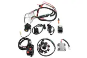 Electric Wiring Harness Loom CDI Stator Full Set ATV Dirt Pit Quad Bike 150CC 200CC 250CC