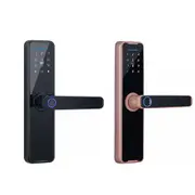 Electronic Digital Smart Door Lock Fingerprint WIFI Password Key Security Lock
