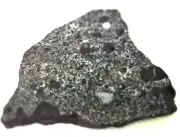 Vaca Muerta Meteorite Mesosiderite , slise . Weight 19.07 gr.