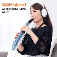 在飛比找momo購物網優惠-【ROLAND 樂蘭】Aerophone mini 數位吹管