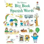 BIG BOOK OF SPANISH WORDS