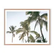 Palm Holiday Framed Printed Wall Art - Timber