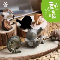 在飛比找蝦皮購物優惠-Animal Life 動物 翻滾吧 白眼 盒抽 朝隈俊男