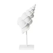 [James Lane] Conch Shell Stand Sculpture - 12cm x 12cm x 35cm