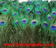 50 pcs Natural Peacock Eyes Feathers 5-10" - FREE 2 DAY Shipping from GA