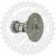 101 Octane Camshaft For Pegasus S 50 GP 2010-2011