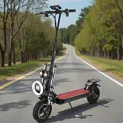 Off-Road Foldable Electric Scooter 2500W Adult 70KM/H 80KM Range 11" Tyre E-Bike