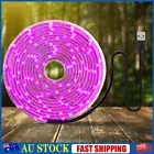 Full Spectrum USB Grow Lights Strip Plant Grow LED Lights Full Spectrum Lamps