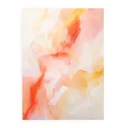 Orange Pink Abstract Painting Canvas Print