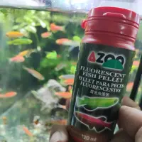 在飛比找蝦皮購物優惠-螢光魚漢堡120ml 螢光斑馬魚小型魚種適用 保存期限202