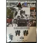 青春 DVD 日本電影