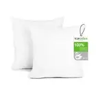 TOPGREEN Feather Down Throw Pillow Inserts 20 x 20 Set of 2 Square Deco Pillo...