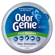 DampRid 226g Clean Meadow Odor Genie